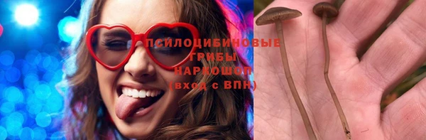 a pvp Армянск