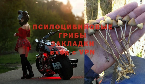 Альфа ПВП Арсеньев