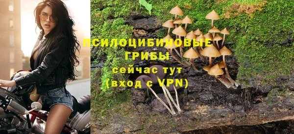 Альфа ПВП Арсеньев