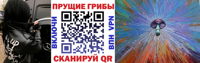 Псилоцибиновые грибы MAGIC MUSHROOMS  Сланцы 